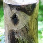 Nr. 22 | Urne aus frischer Eiche, gekalkt