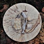 Deckel mit Strandgut