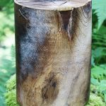 Nr. 73 | Urne aus frischer Eiche, gelaugt u. gekalkt