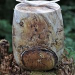 Nr. 57 | Urne aus stockiger Buche u. Treibholz